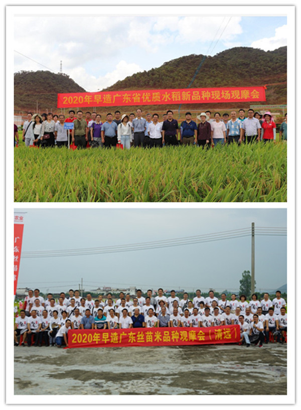 踐行稻作創新使命 獻禮建黨99周年